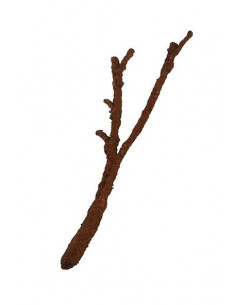 KOMODO RAMO TROPICAL VINE - M 2