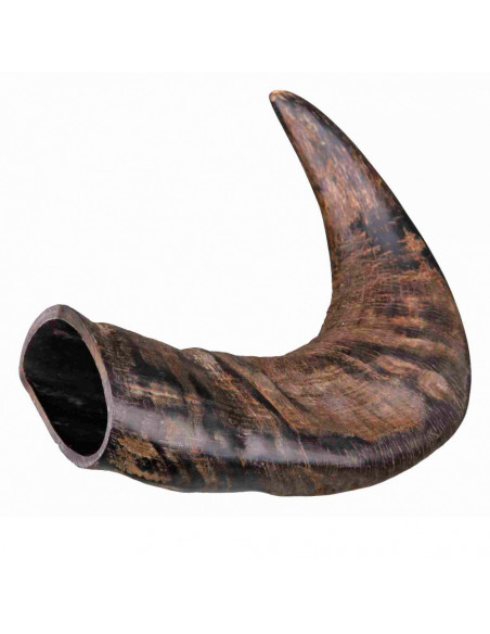 CORNO DE BÚFALO PARA MASCAR PEQUENO
