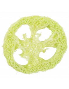 RODELAS EM LUFA (2 UNIDADES) 2