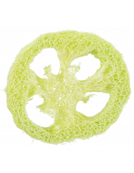 RODELAS EM LUFA (2 UNIDADES)