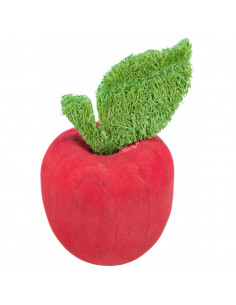 MAÇÃ EM MADEIRA / LUFA