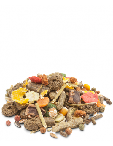 CRISPY MUESLI - COELHOS ANÕES