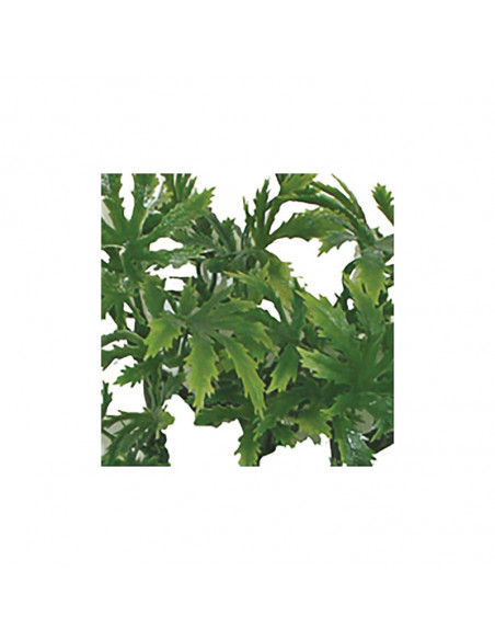Decoração Papaya Leaf Vine – 45 CM