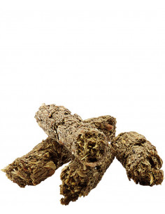 COMPLETE CHINCHILLA & DEGU 2