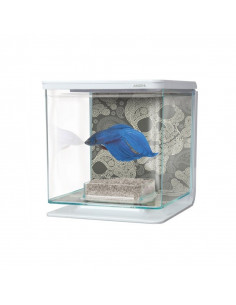 MARINA BETTA KIT 2 LITROS, CRÂNIOS