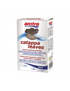 Amtra Folhas Catappa 30 Pcs