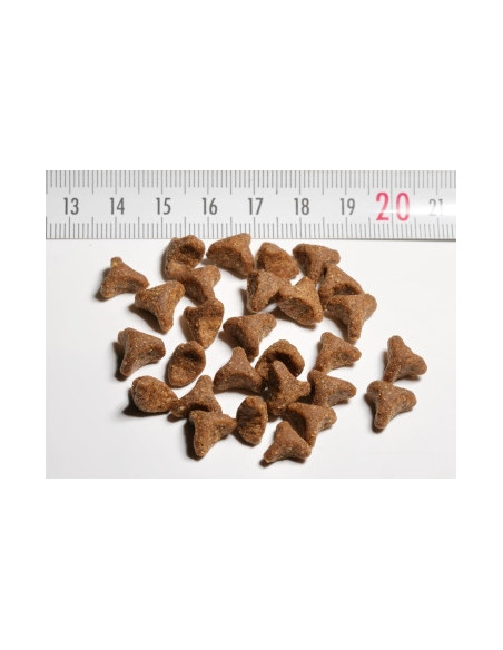 Premium Kibbles V2.0 - 1 KG