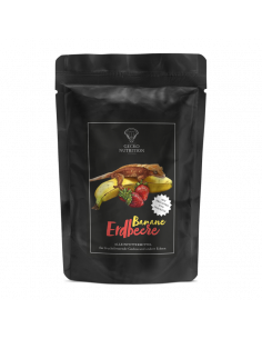 Gecko Nutrition – Morango - 50 grs