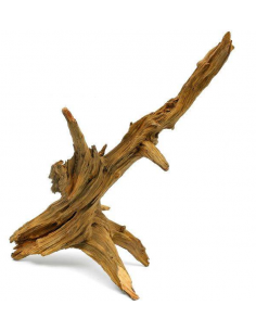 Ent Wood, 40 CM