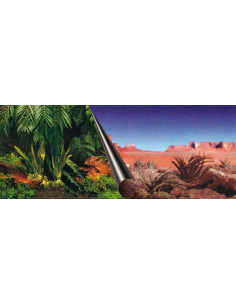 Photo-fundo Terrário - 60 cm - SELVA+DESERTO-30cm