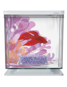 MARINA BETTA KIT 2 LITROS, FLORES