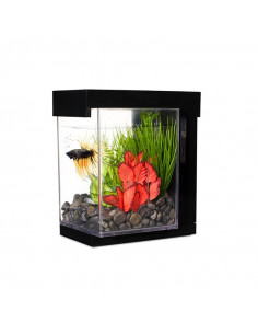 MARINA BETTA EZ CARE STYLE KIT 3,7 LITROS, NEGRO 2