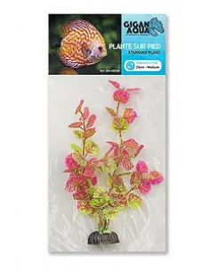 PLANTA DE AQUÁRIO - 20 CM