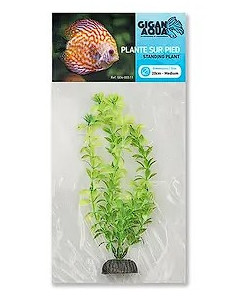 PLANTA DE AQUÁRIO - 20 CM