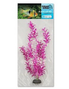 PLANTA DE AQUÁRIO - 30 CM