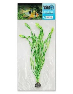PLANTA DE AQUÁRIO - 30 CM