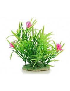 PLANTA DE AQUÁRIO - 12 CM