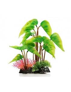 PLANTA DE AQUÁRIO - 24 CM
