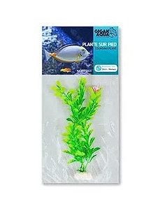 PLANTA DE AQUÁRIO - 20 CM
