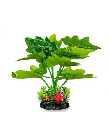 PLANTA DE AQUÁRIO - 22 CM