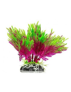 PLANTA DE AQUÁRIO - 10 CM