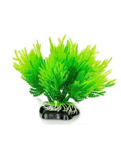 PLANTA DE AQUÁRIO - 10 CM