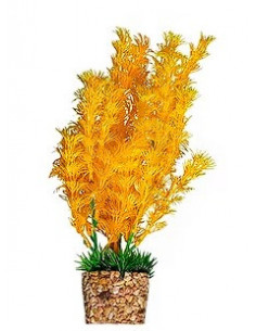 PLANTA DE AQUÁRIO - 20 CM