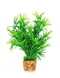 PLANTA DE AQUÁRIO - 20 CM
