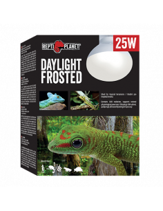 Daylight Frosted - 75 W