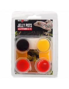 Jelly Pots Mix Sabores – Repti Planet