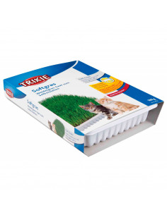 ERVA GATEIRA TENRA C/ TABULEIRO - 100 GR