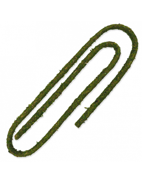 REPTIPLANET LIANA SELVA - 200X2 CM