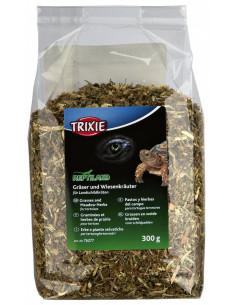 ERVAS E FENOS PARA TARTARUGAS TERRESTRES