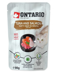 Atum e Salmão em Caldo