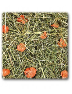 Feno com Cenoura 500 g 2