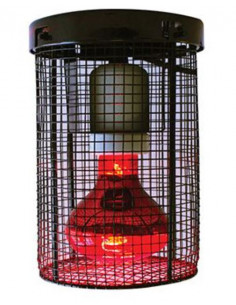 Komodo - Protector Lampada - Tam M