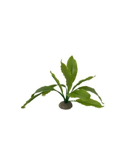 Planta Aquário Echinodorus 2 - 24 cm - Verde