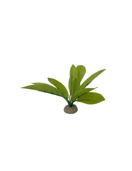 Planta Aquário Echinodorus 3 - 24 cm - Verde