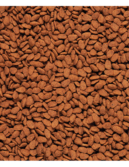 NUTRIBIRD ORIGINAL G14