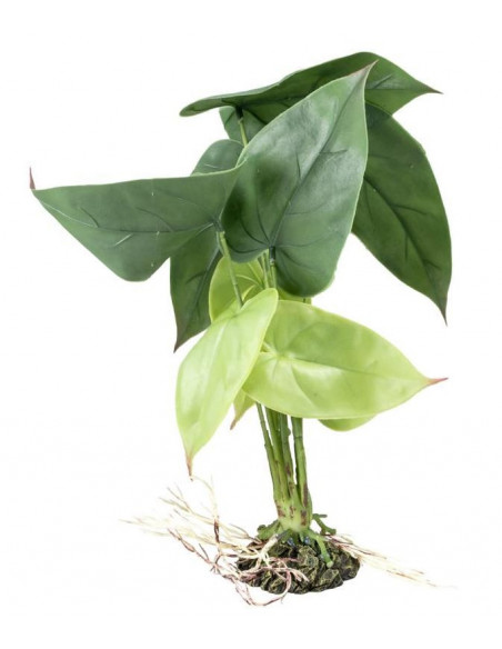 Planta Artificial Alocacia-20 x 30 x 35 cm - Verde