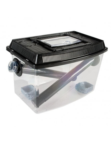 Caixa P/ Grilos - Terra Della - 30x19x20 cm