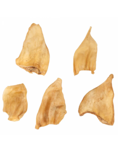 Buffalo Ears - 5 UND 2