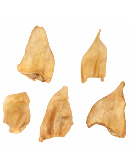 Buffalo Ears - 5 UND