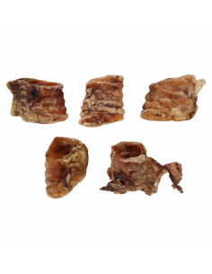 Flamingo Snack Natural Traqueia - 5/6 CM 2