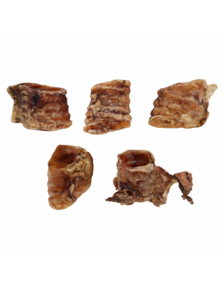 Flamingo Snack Natural Traqueia - 5/6 CM Flamingo Snack Natural Traqueia - 5/6 CM