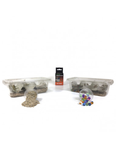 Habistat - Livefood Care Pack