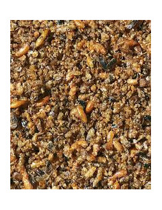 Nutribird Insect Patee- 250 g 2