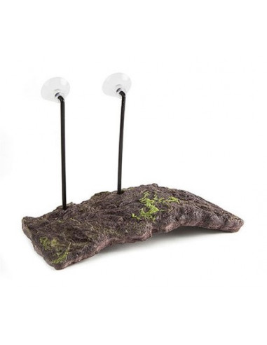 ZOOMED - TURTLE DOCK - TAM M