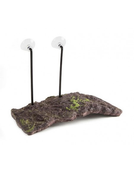 ZOOMED - TURTLE DOCK - TAM L