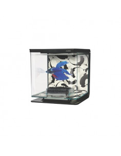 MARINA BETTA KIT 2 LITROS, YING YANG